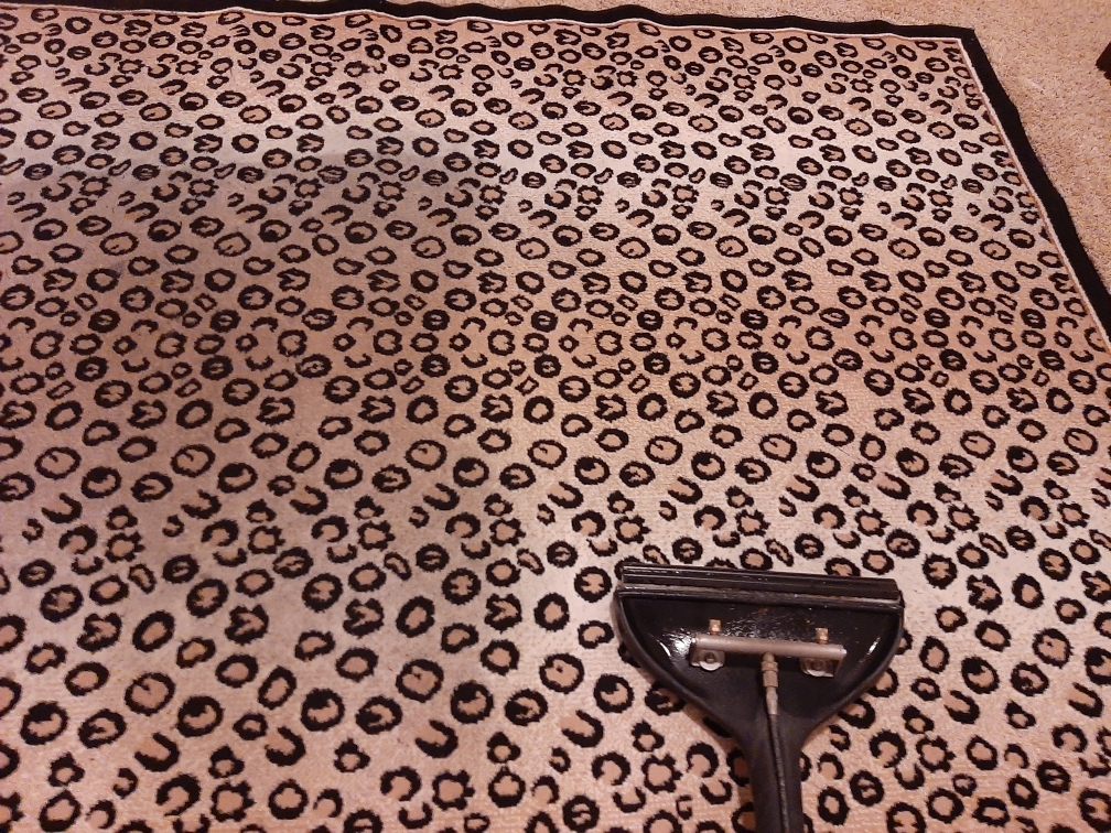 Leopard print area rug being professionally cleaned
