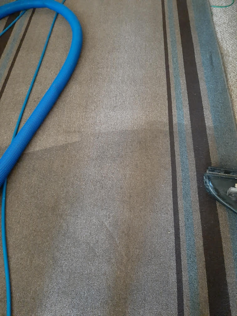 Striped area rug cleaning in East Chicago