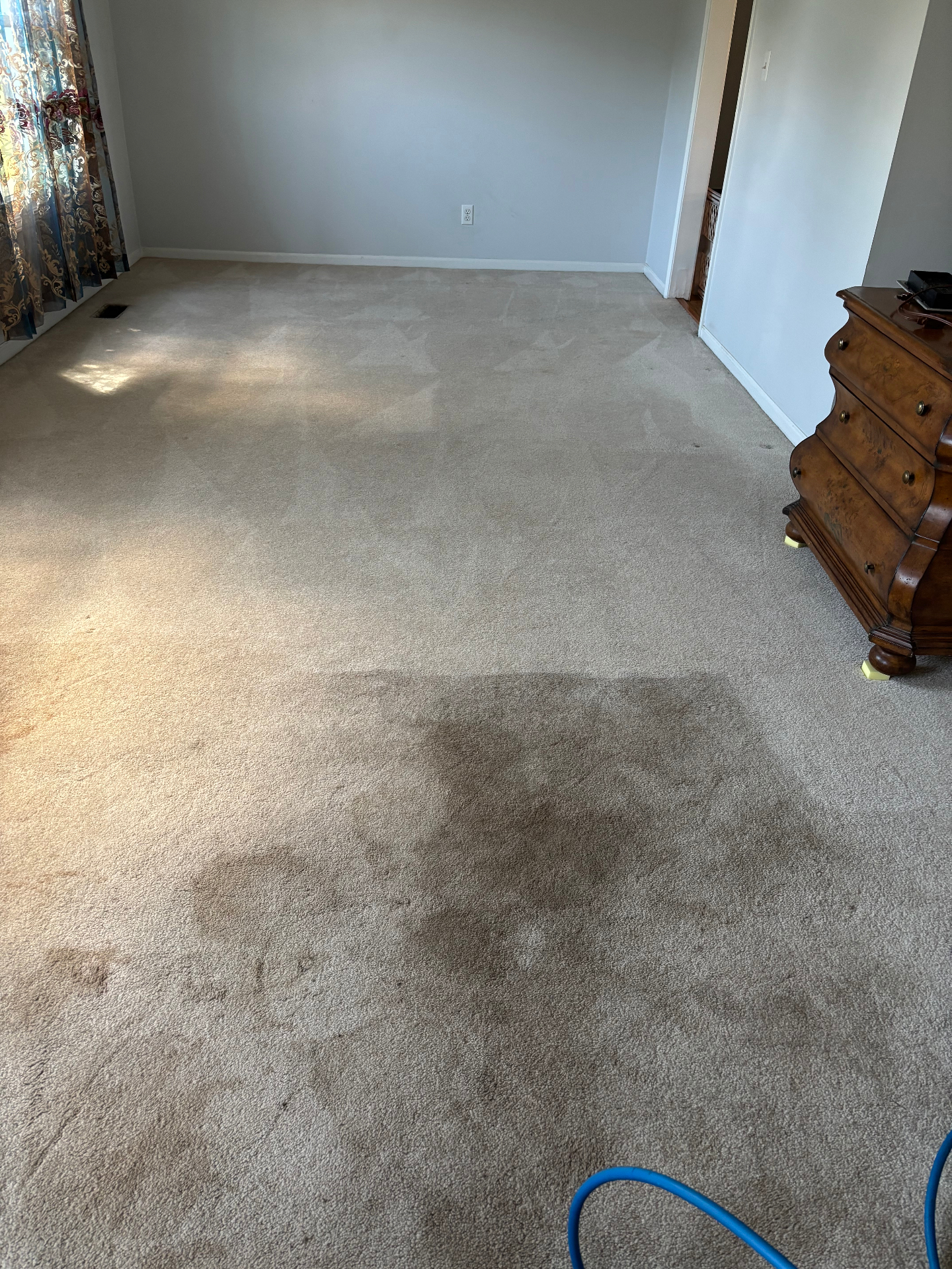 Bedroom carpet deep cleaning in progress