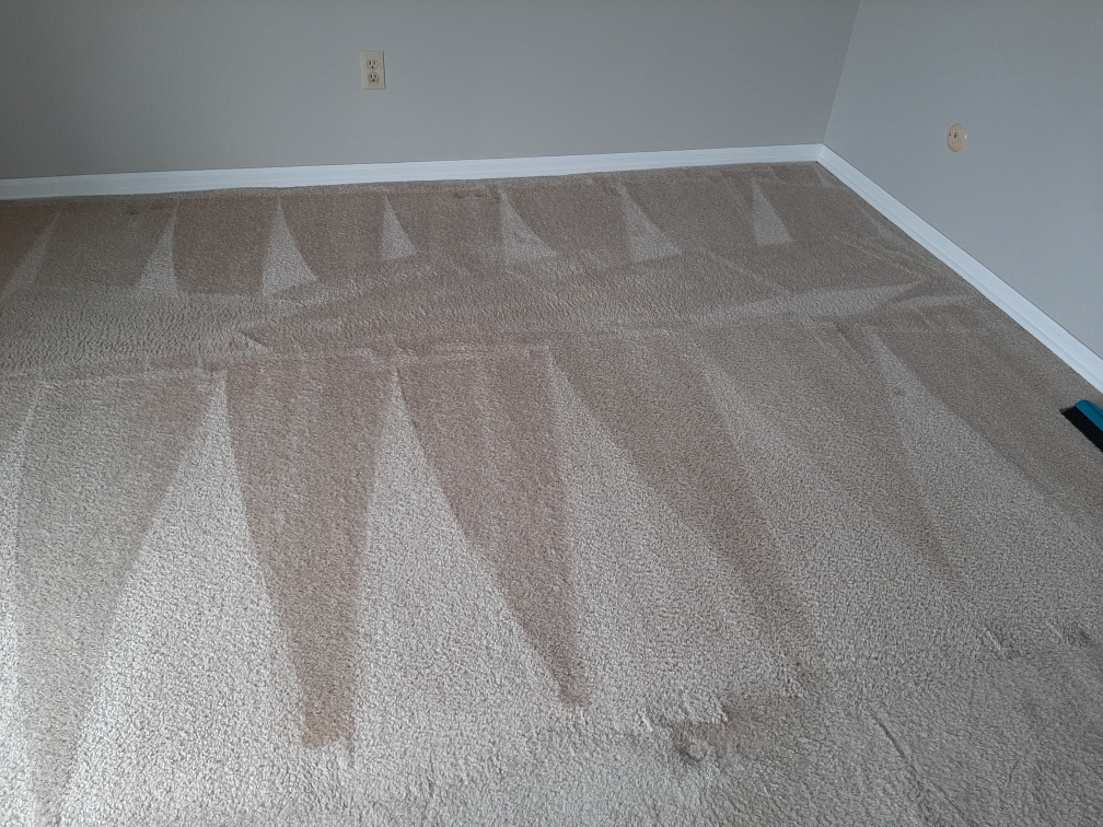 Bedroom carpet cleaning in Munster Indiana