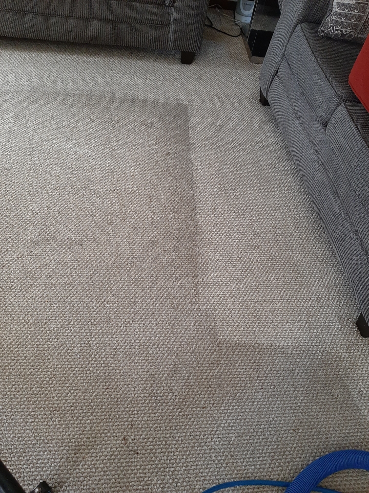 Berber carpet cleaning in Crown Point Indiana