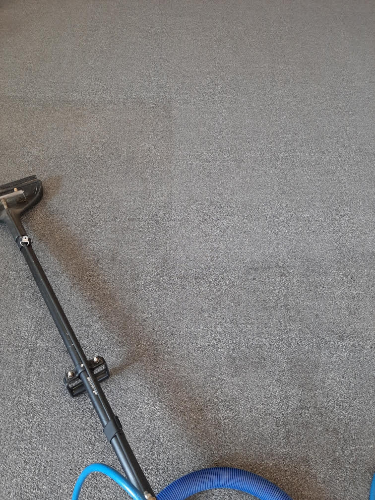 Carpet cleaning service in Calumet City Illinois