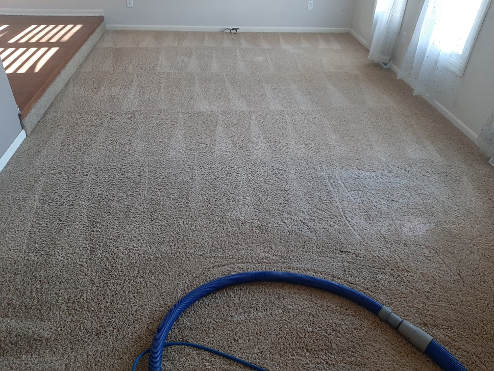 Crown Point rental living room carpet cleaning