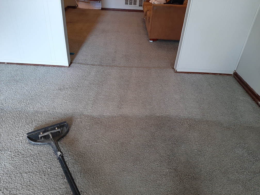Dentist office carpet being professionally cleaned