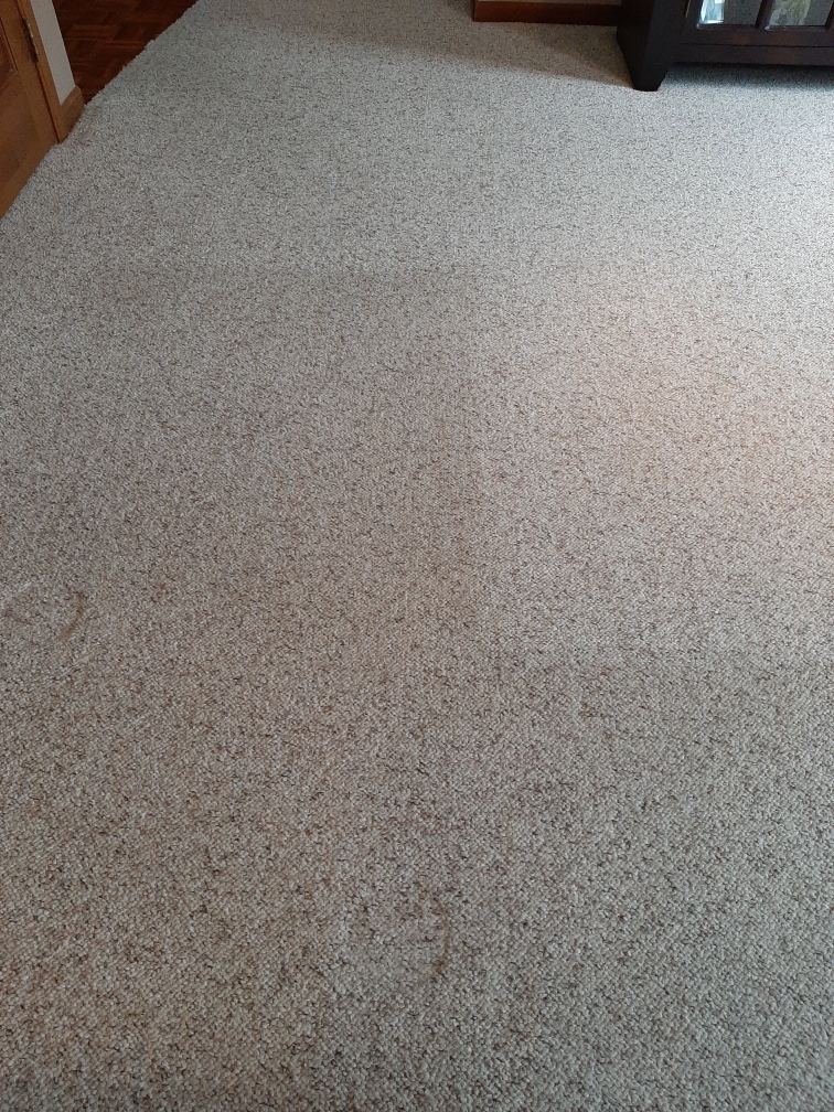Clean beige carpet in well-maintained home