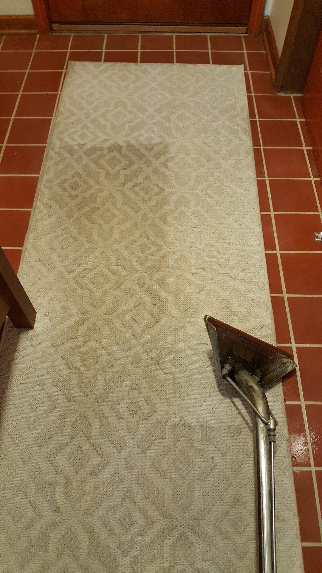 Hallway runner carpet cleaning in Hammond