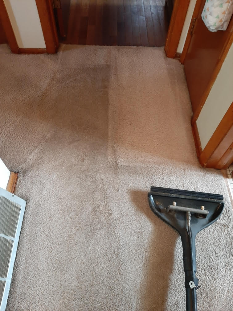 Hallway carpet cleaning in Schererville Indiana
