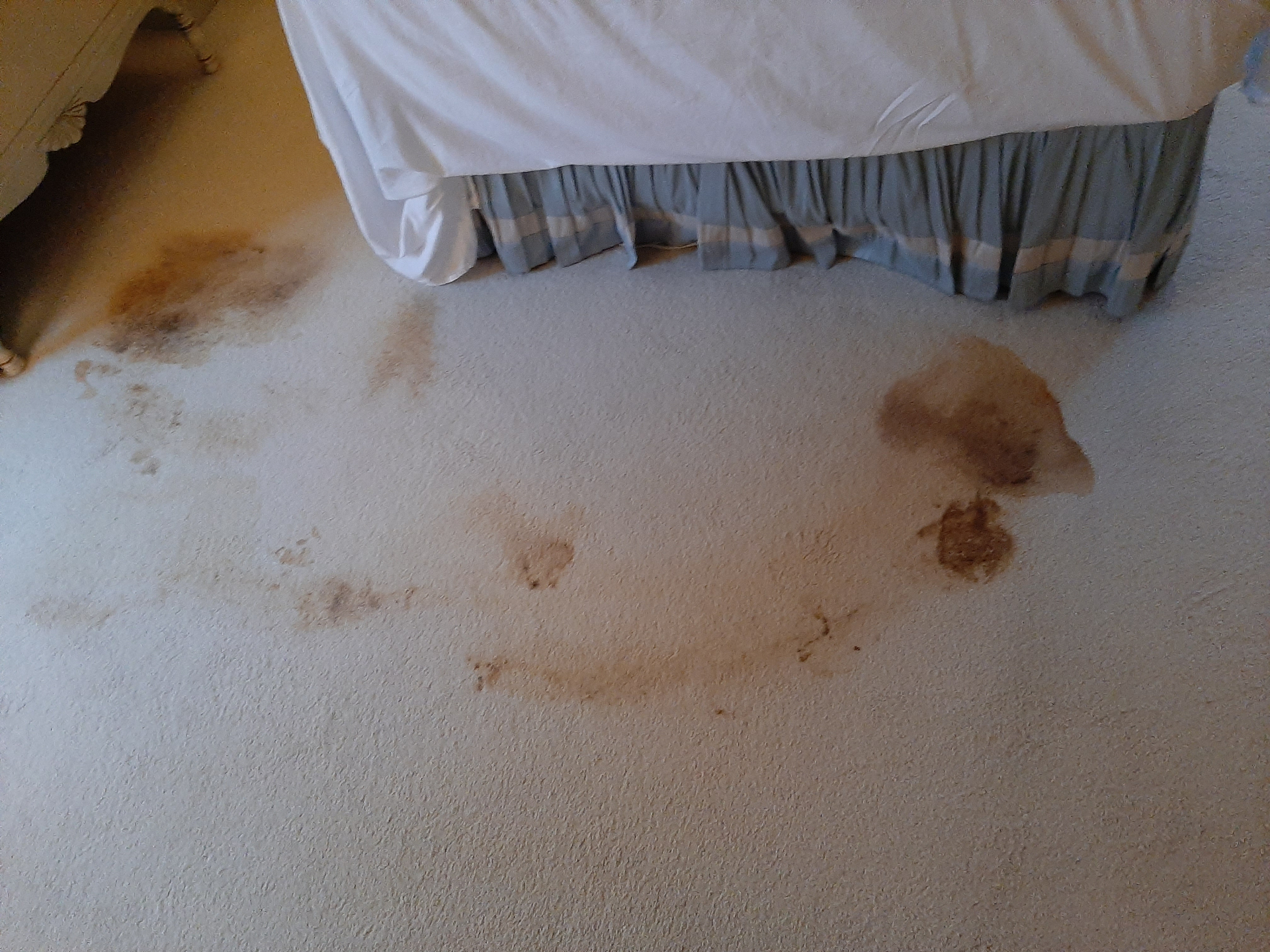 Before