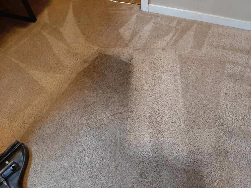 Carpet cleaning progress in Hammond rental