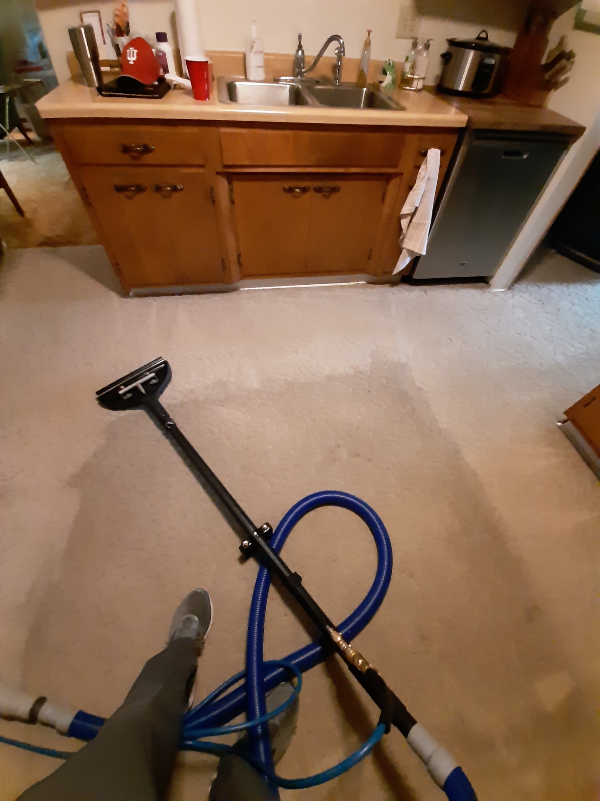 Kitchen carpet cleaning in progress