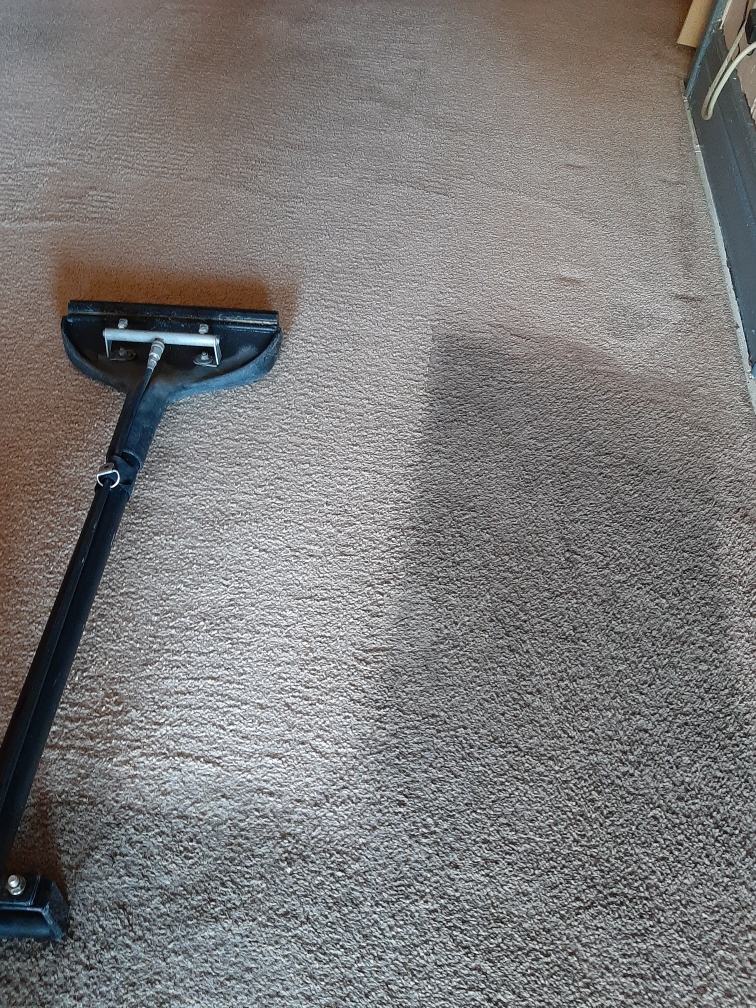 Carpet cleaning in progress East Chicago