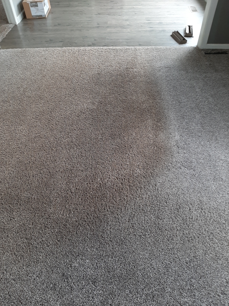 Clean living room carpet after professional cleaning in Hobart