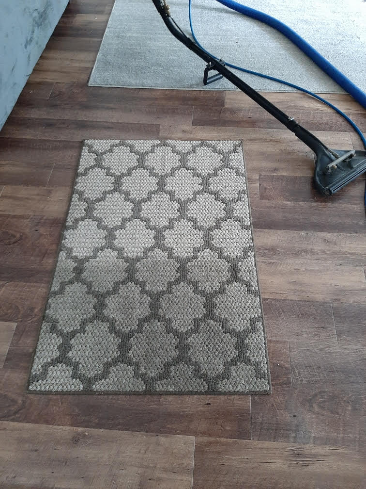 Office area rug cleaning in Hammond