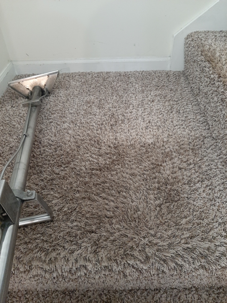 Rental condo stair carpet cleaning in Munster