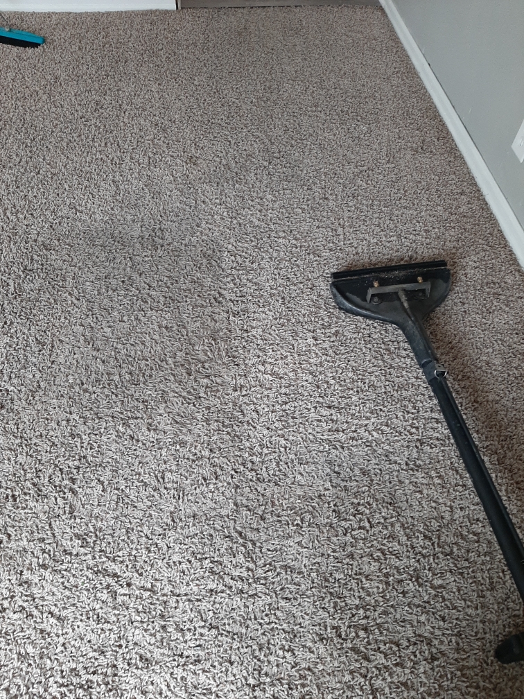Rental house bedroom carpet cleaning in Gary