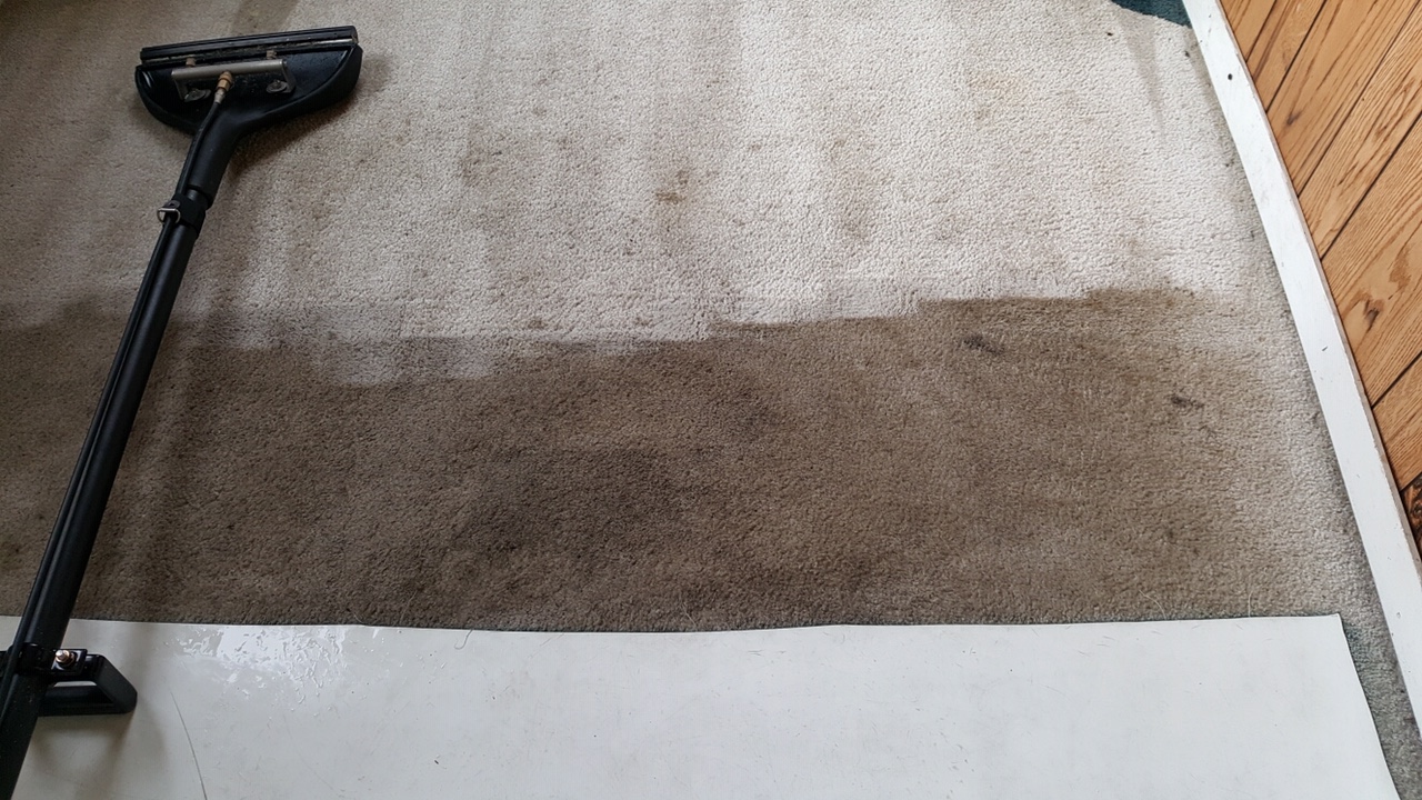 Before and after carpet cleaning in progress