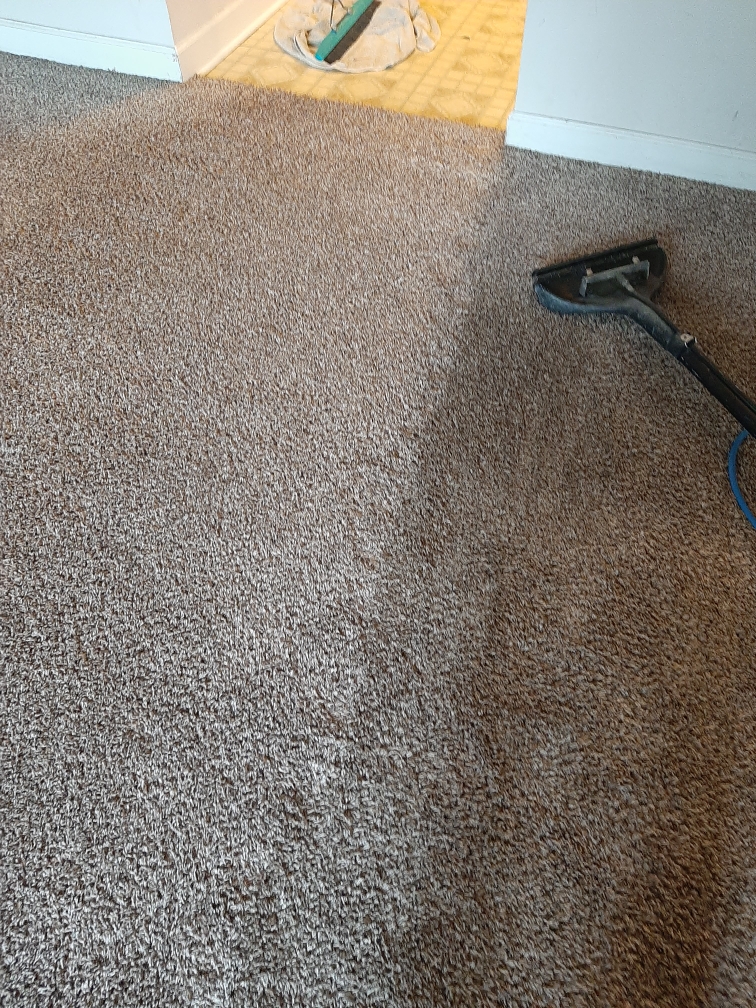 Rental property carpet cleaning in Merrillville
