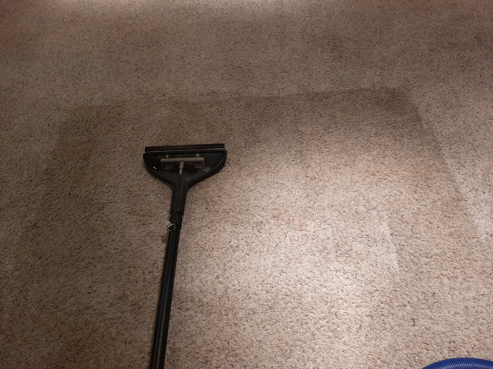 School carpet cleaning service