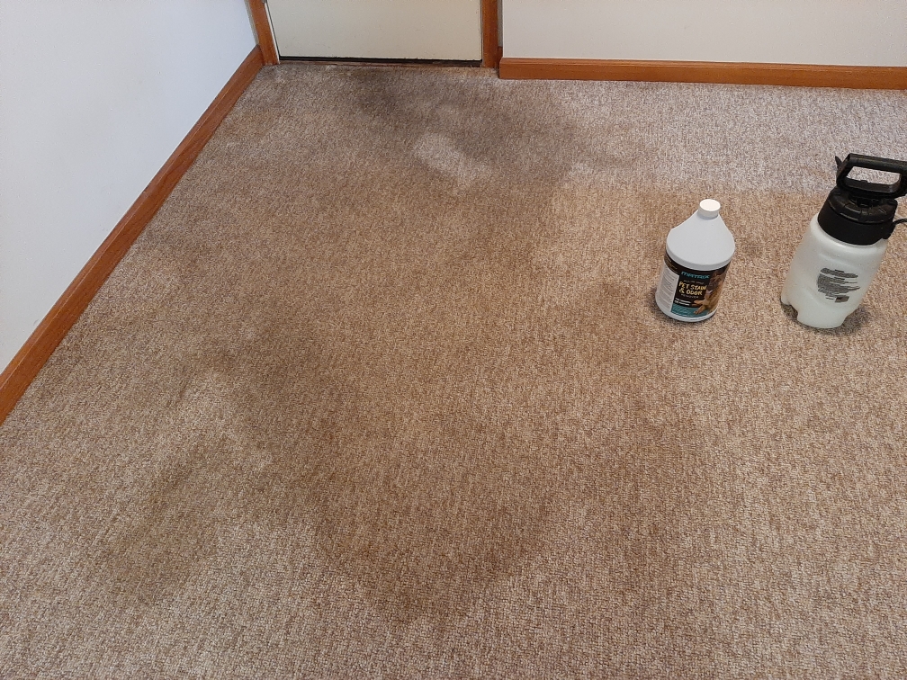 Before